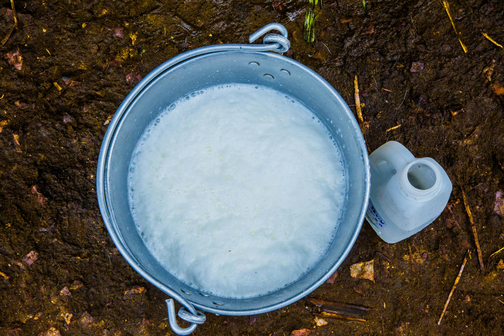 Overhead view of a metal bucket filled with sudsy water on muddy ground, next to an empty container.