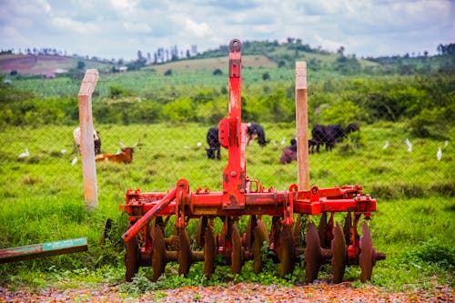 Fotobanka s bezplatnými fotkami na tému dedinský, farma, hracie pole