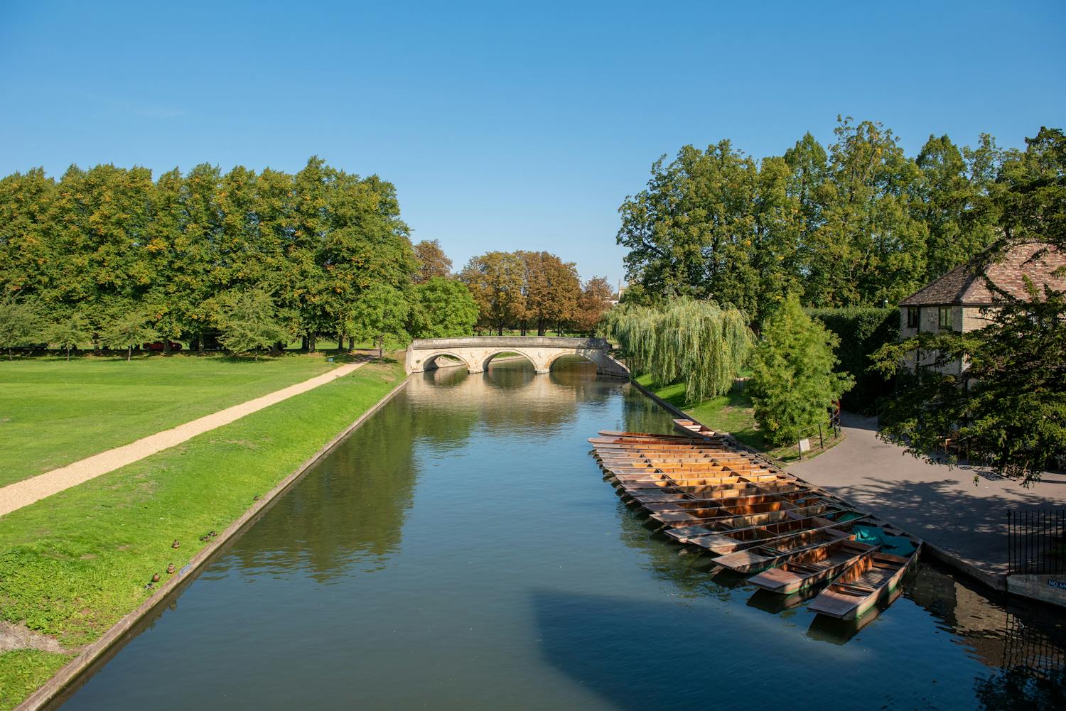 Tranquil summer scene of a river and bridge in lush green park