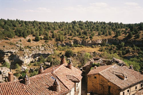 Trees behind Roofs of Houses in Village