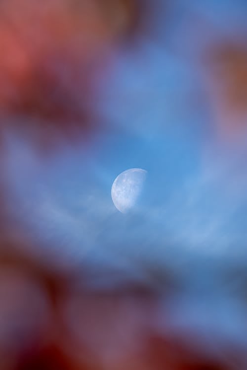 Photos gratuites de astronomie, ciel, feuilles