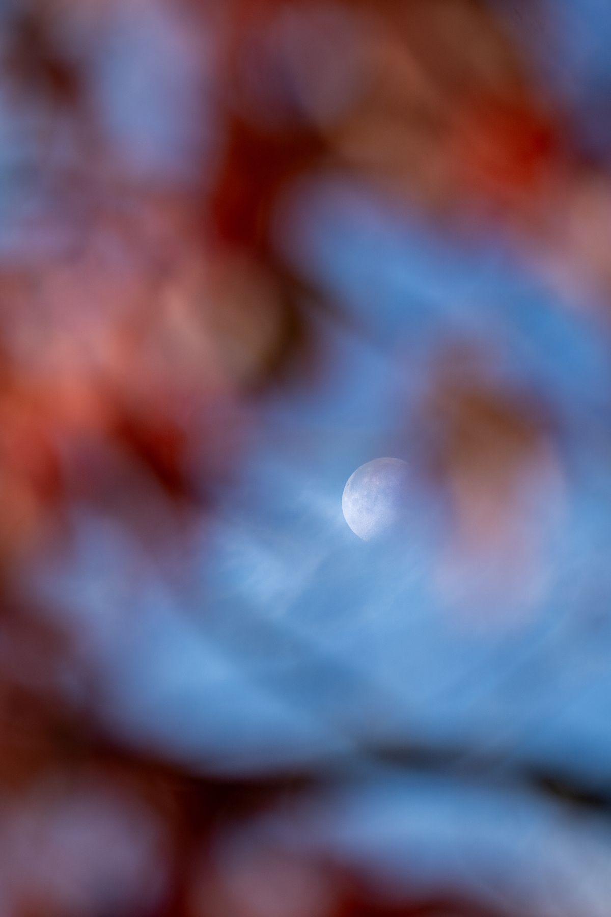 Pictures of the moon photos download the best free pictures of the