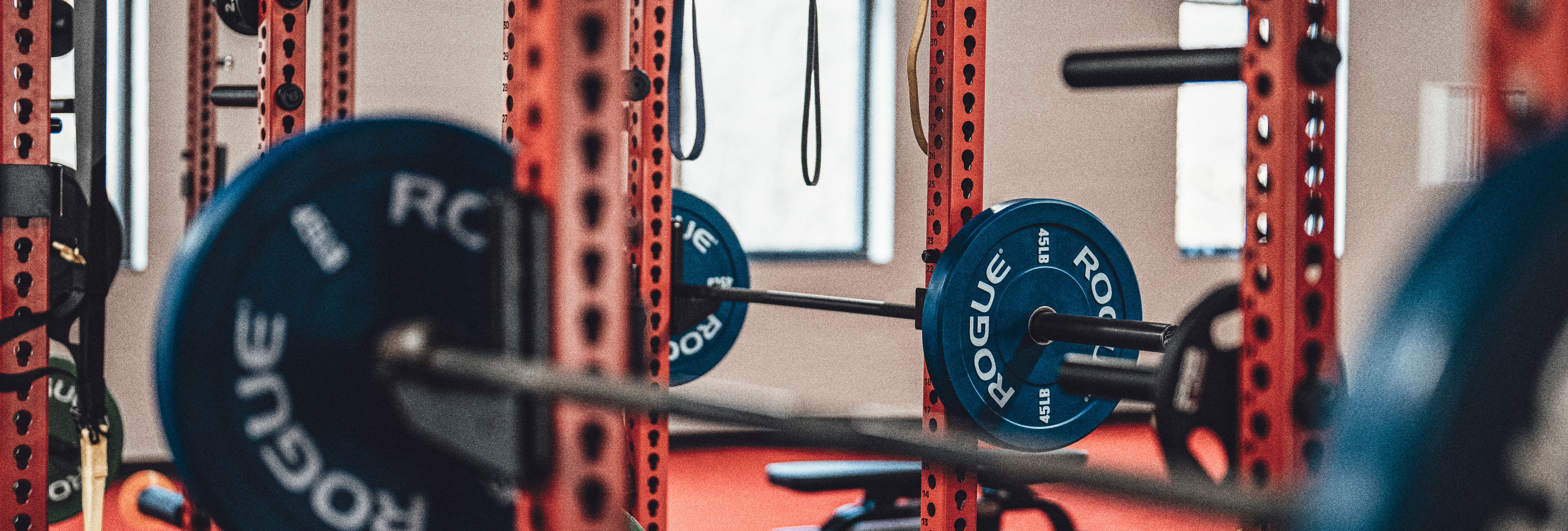 Best Leg Exercises for Aesthetic Physique: The Ultimate Guide (2026)