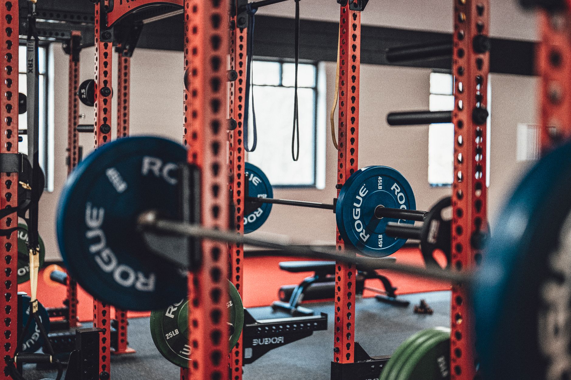 Best Weight Benches of 2026: Flat, Adjustable, and FID Benches Reviewed