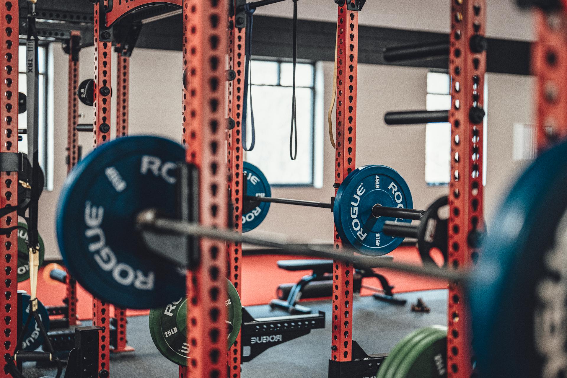 A gym with a rack of weights and barbells