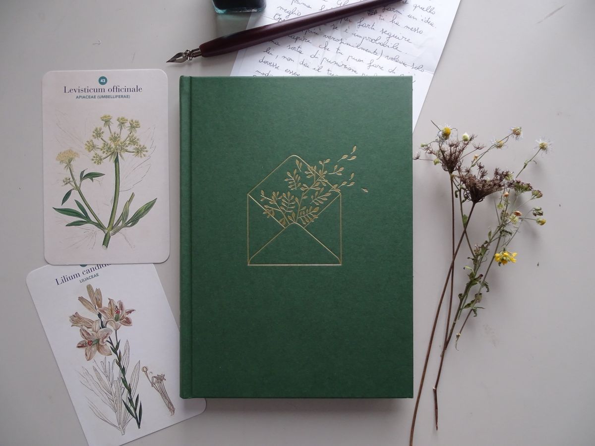 Botanical notebook open to floral line illustrations with dried flowers — photo by Eleorial on Pexels