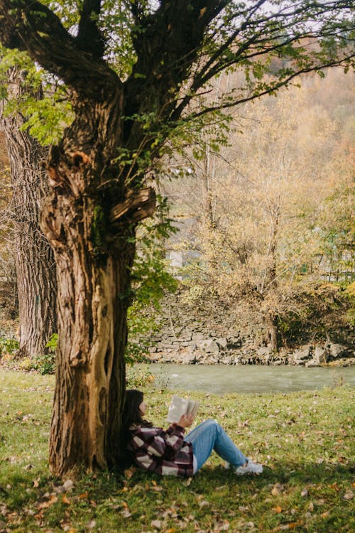 Woman Sitting by Tree in Park and Reading Book