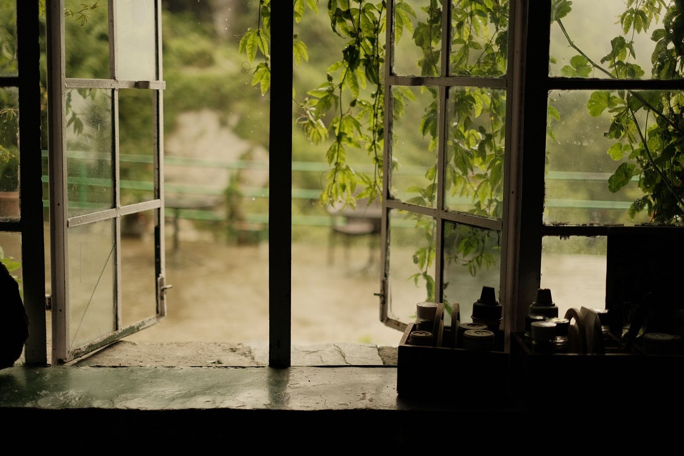 Open window framed by lush green plants