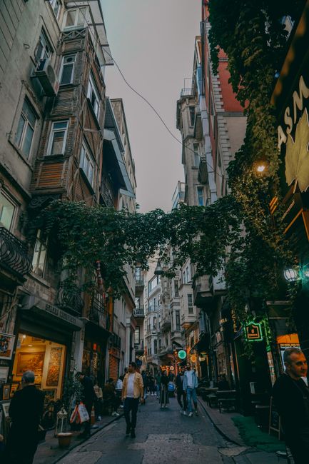 More Than Just Sightseeing: A Cultural Immersion More Than Just Sightseeing: A Cultural Immersion