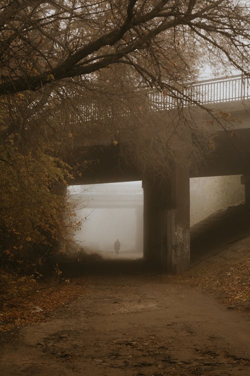 A Foggy Walkway under a Bridge in Autumn 