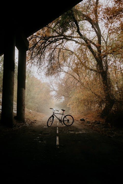 Bike on Road under Fog in Forest