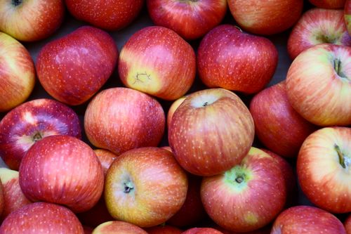Free Close-up of vibrant red apples, showcasing their natural freshness and color. Stock Photo