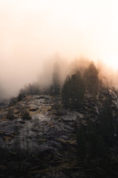 A serene mountain landscape at dawn with mist and pine trees in Ginzling, Austria.