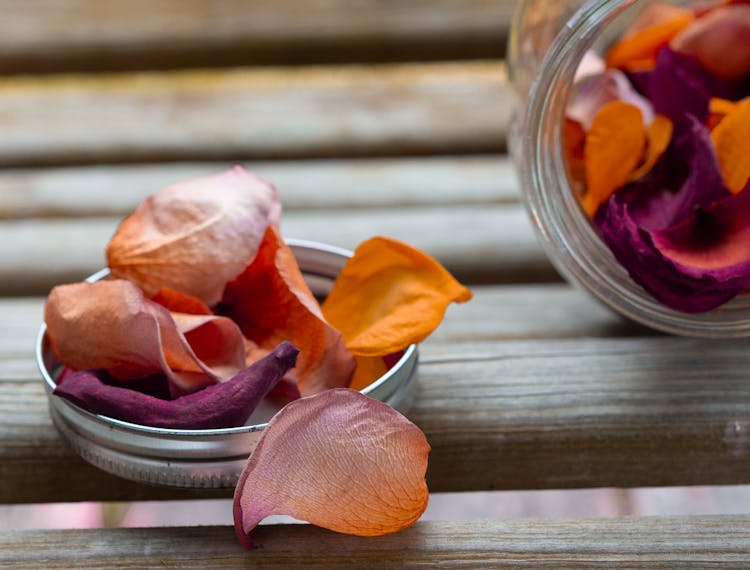 Purple Flowers Petals