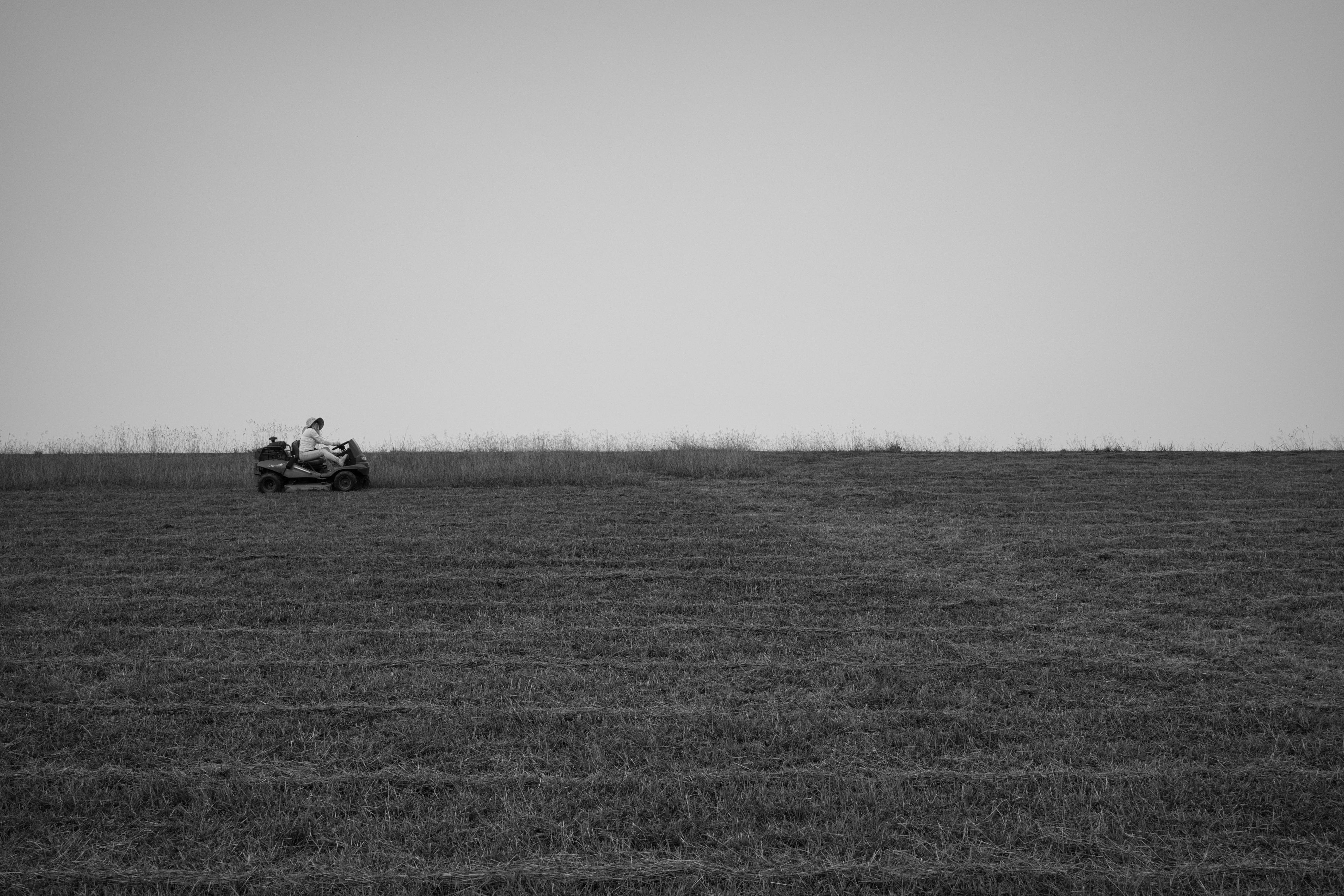 The #1 Lawn Care Professional Website Builder in Austin, TX