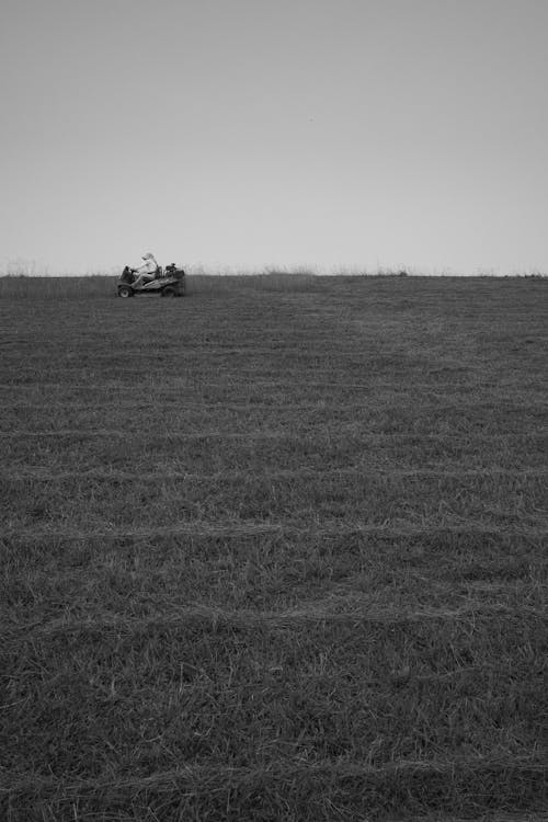 Gratis stockfoto met gras, grayscale, landschap