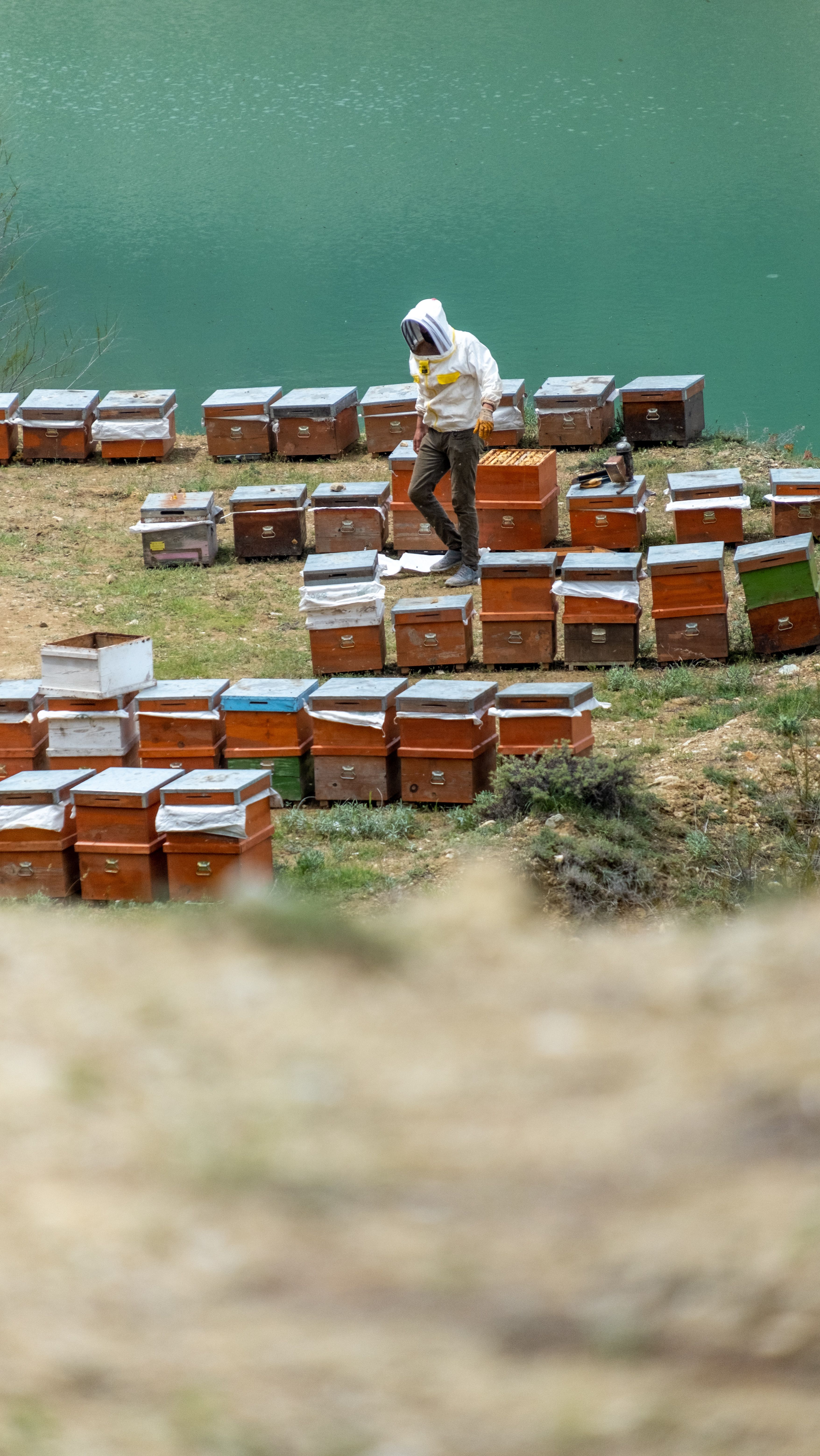 A beekeeper inspects hives near a lake in rural Türkiye, wearing protective clothing in spring.