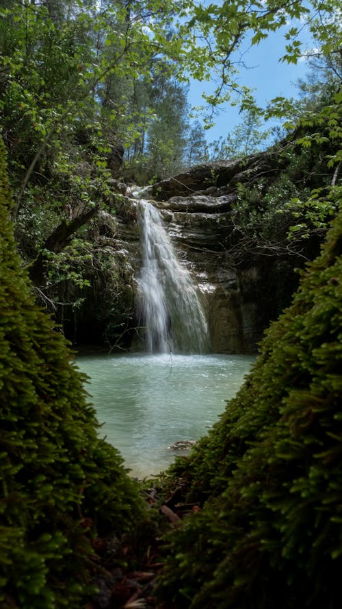 View of a Waterfall and a Creek in the Forest 