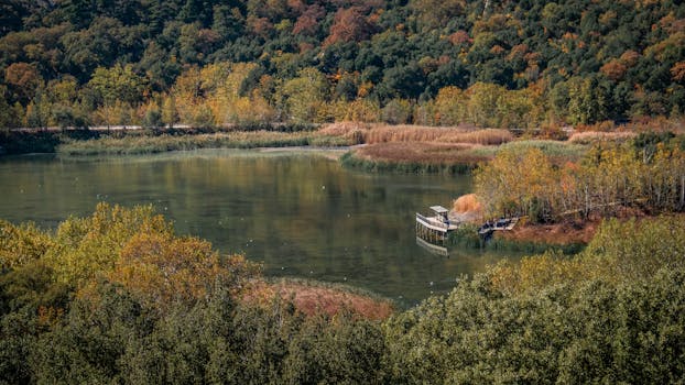 Serene lake surrounded by vibrant autumn foliage in Isparta, Türkiye, offering a picturesque landscape.