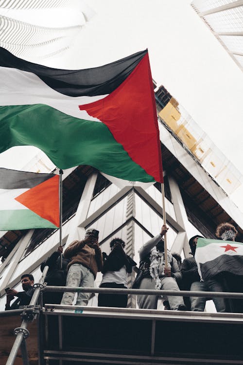 People with Palestinian Flags Protesting on the Street 