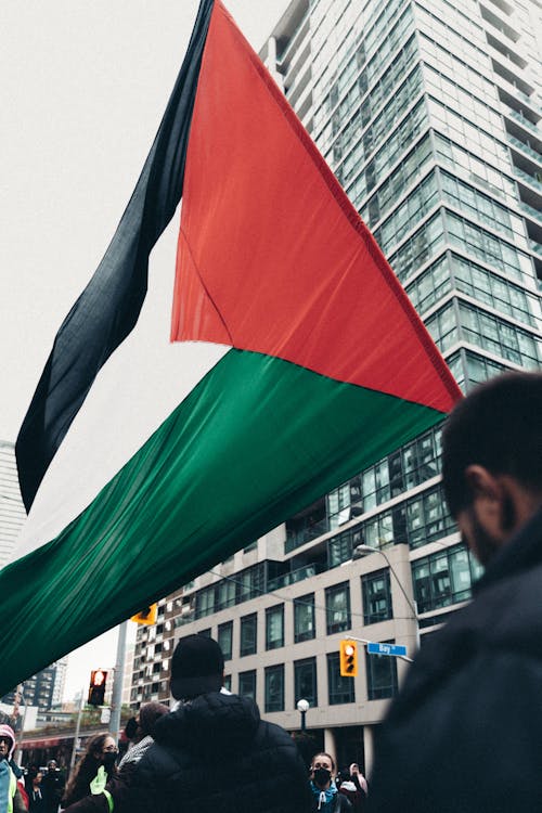 People with Palestinian Flags Protesting on the Street 