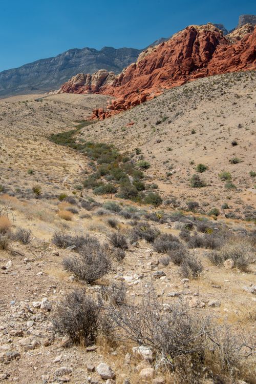 Free Scenic view of arid desert with striking red rock formations under clear blue sky. Stock Photo