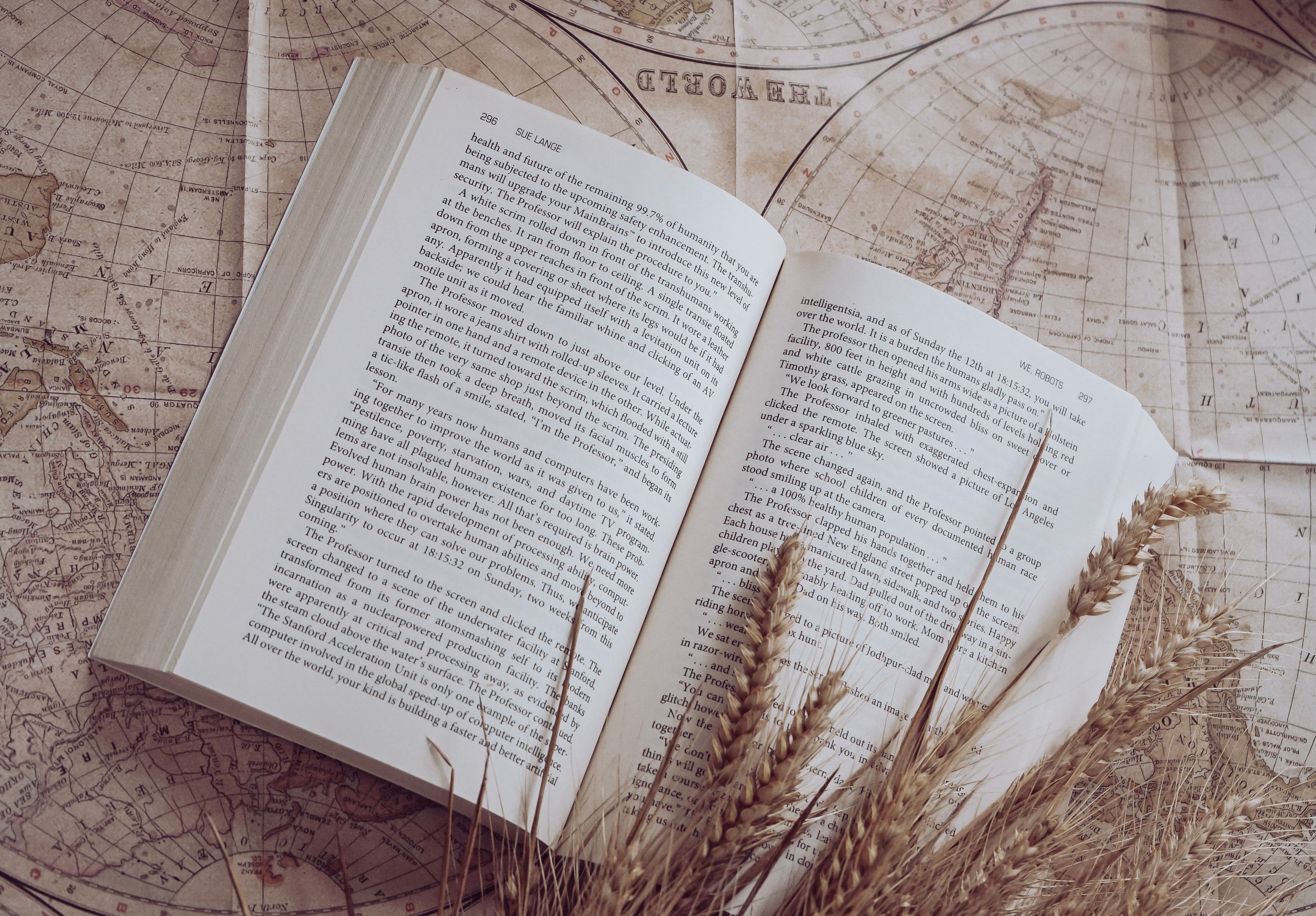 An open book with wheat on top of it