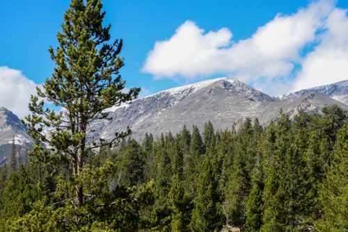 Free Beautiful view of the Rocky Mountains in Estes Park, CO, with lush greenery and clear blue sky. Stock Photo