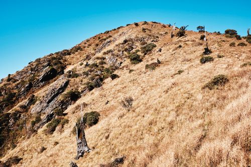 Free A scenic view of a dry grass-covered hill with rocky outcrops under a clear blue sky. Stock Photo