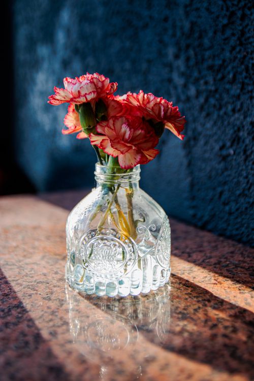 Free Beautiful pink carnations in a decorative glass vase casting a shadow on a textured surface. Stock Photo