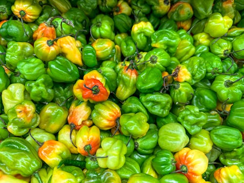 Heap of Green Peppers