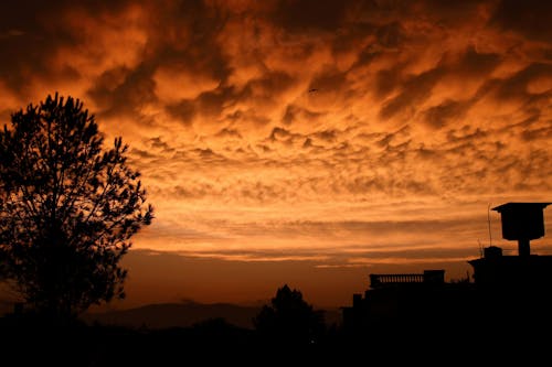 Základová fotografie zdarma na téma budovy, dramatická obloha, oranžová obloha