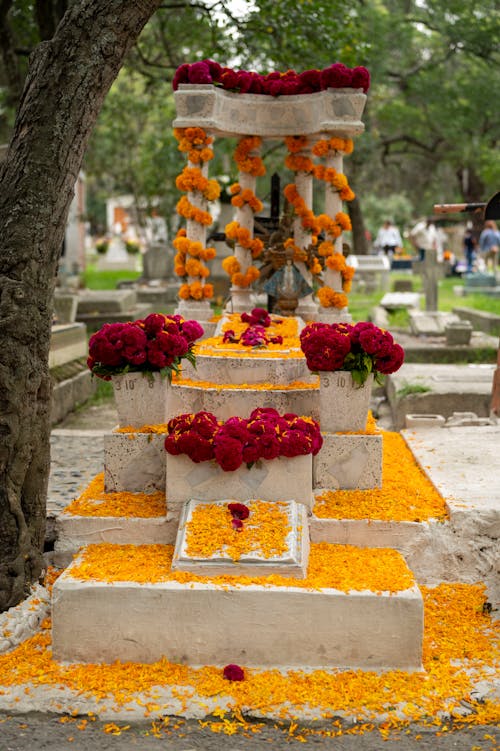 Kostnadsfri bild av blommor, dekoration, dia de muertos