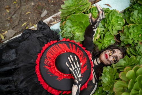 Kostnadsfri bild av dagen för de döda, dia de los muertos, hatt