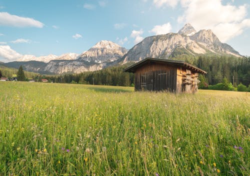 Wooden Shed in Alpine Meadow