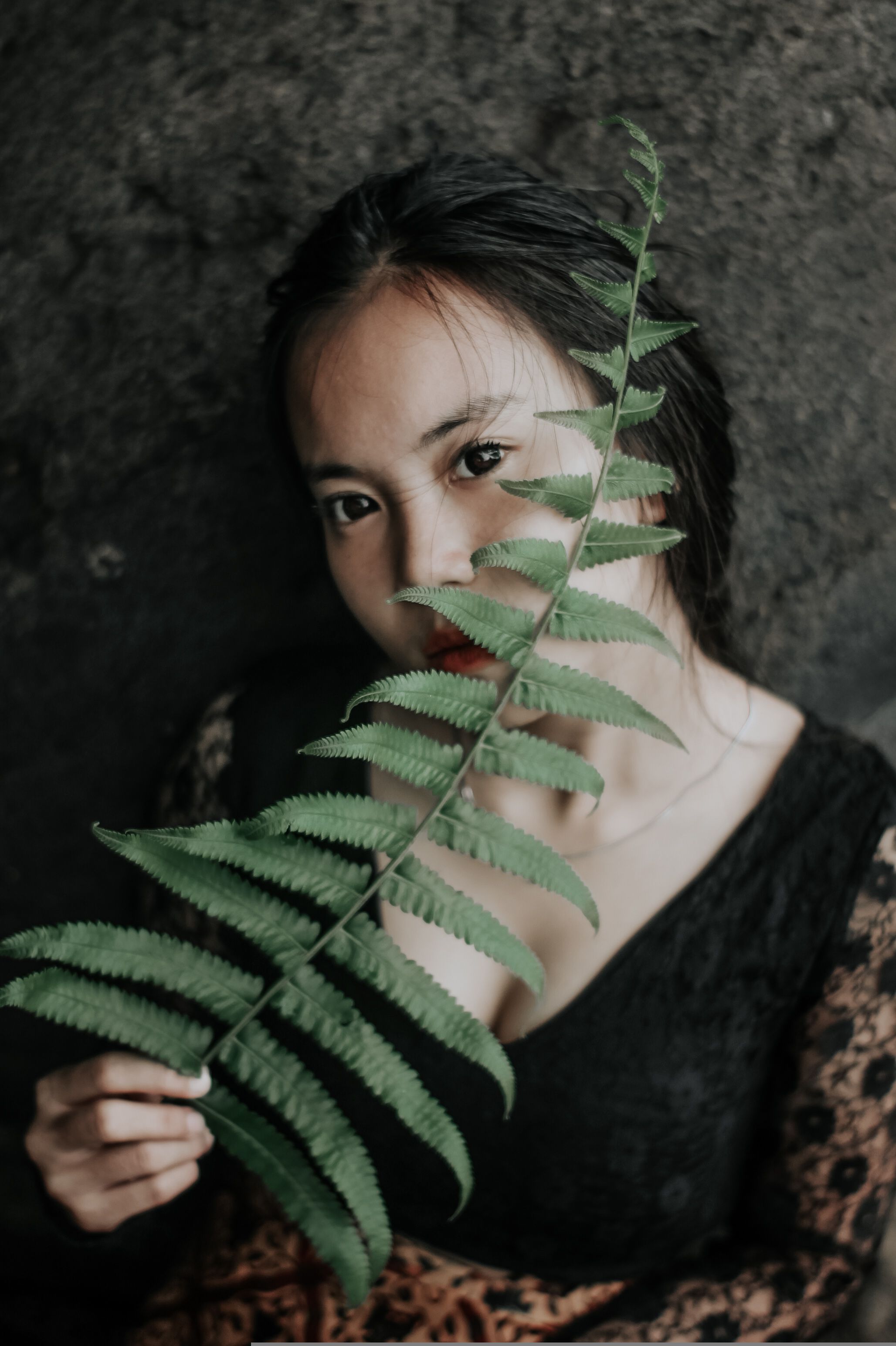 Young Woman in Black Lace Blouse Covering Her Face with a Fern Leaf ...