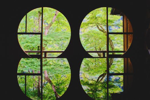 Capture the tranquil beauty of Kyoto's vibrant green forest seen through artistic circular windows.