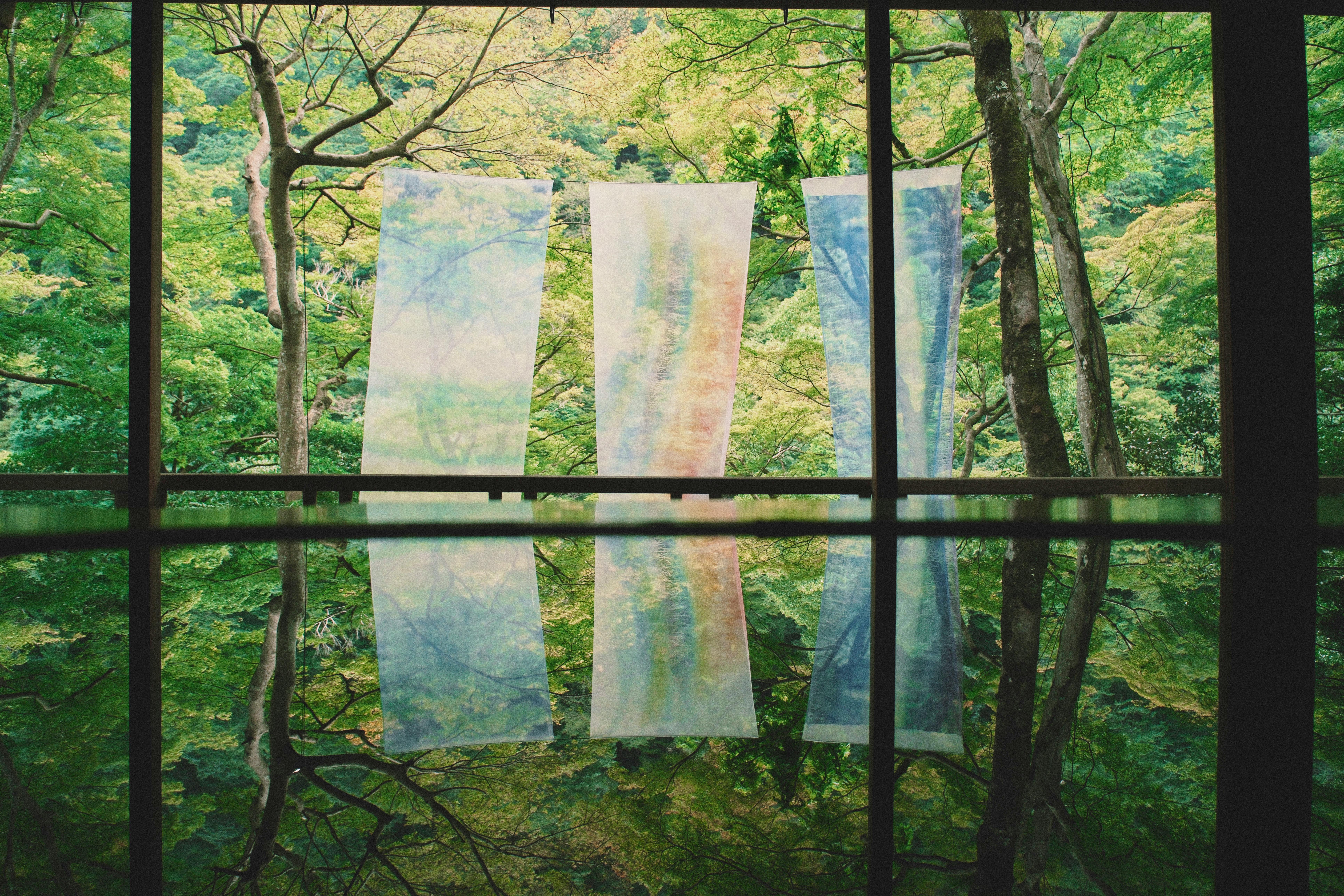 Serene reflection of Kyoto forest through window with hanging cloths.