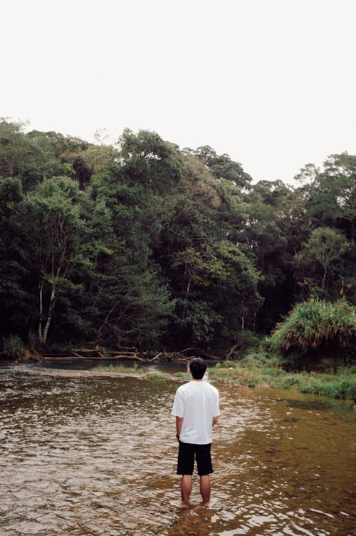 Man Standing in Shallow River in Forest