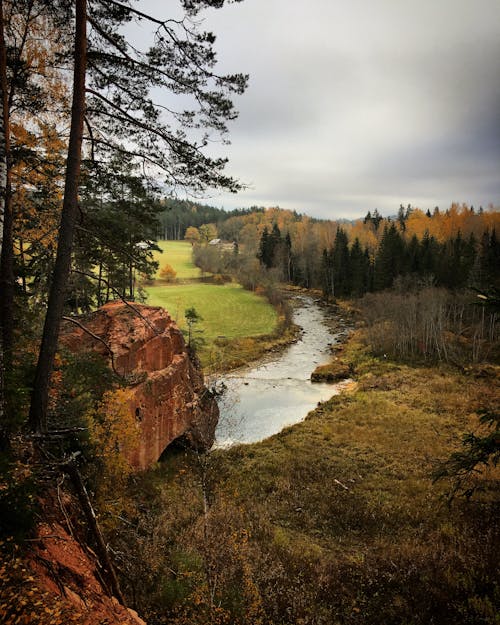 River and Forest in Autumn