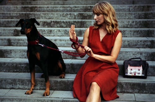 Elegant Blonde Woman in Red Dress Sitting on Stairs with Dog