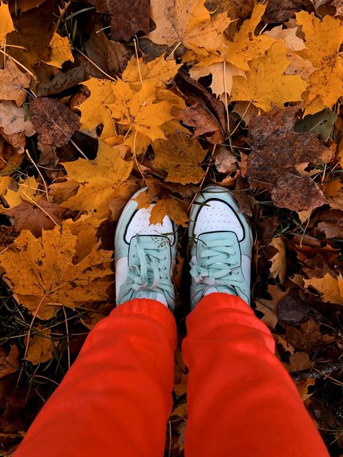 Free Top-down view of feet in sneakers standing on vibrant autumn leaves. Stock Photo