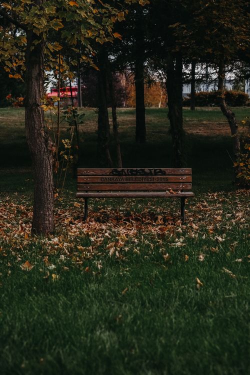 Free A tranquil park bench surrounded by autumn foliage in Ankara, Türkiye, providing a peaceful escape. Stock Photo