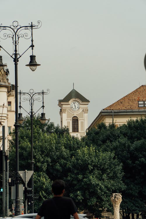 Fotos de stock gratuitas de arboles, Budapest, ciudad