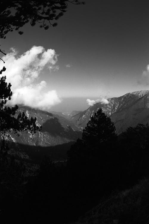 Immagine gratuita di bianco e nero, colline, natura
