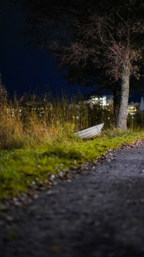 Free A tranquil nighttime scene with an abandoned boat near a tree along a quiet road. Stock Photo