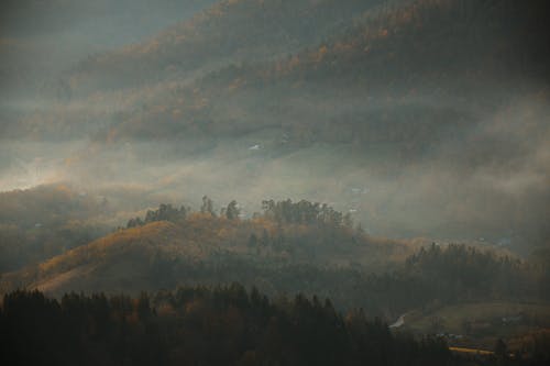 Kostnadsfri bild av bergen, dimma, falla