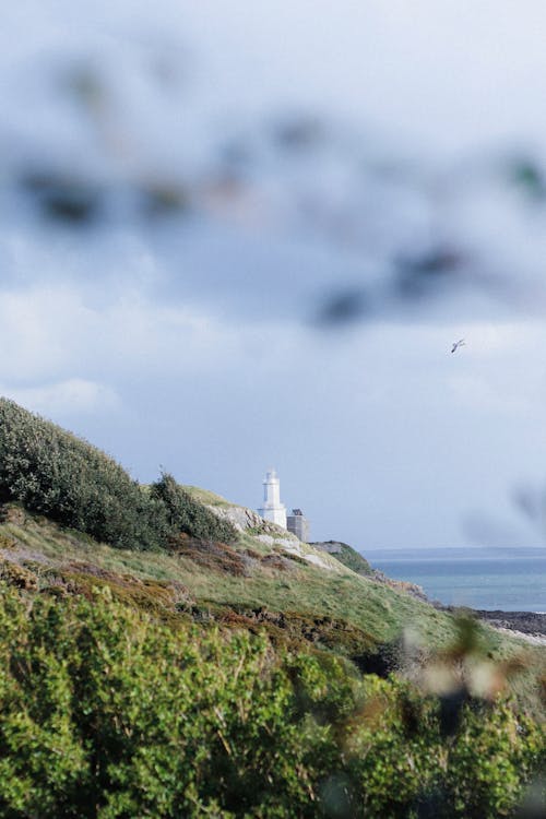 Gratis stockfoto met berghelling, Groot-Brittannië, kust