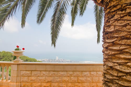 Free stock photo of bahai gardens, city, cityscape