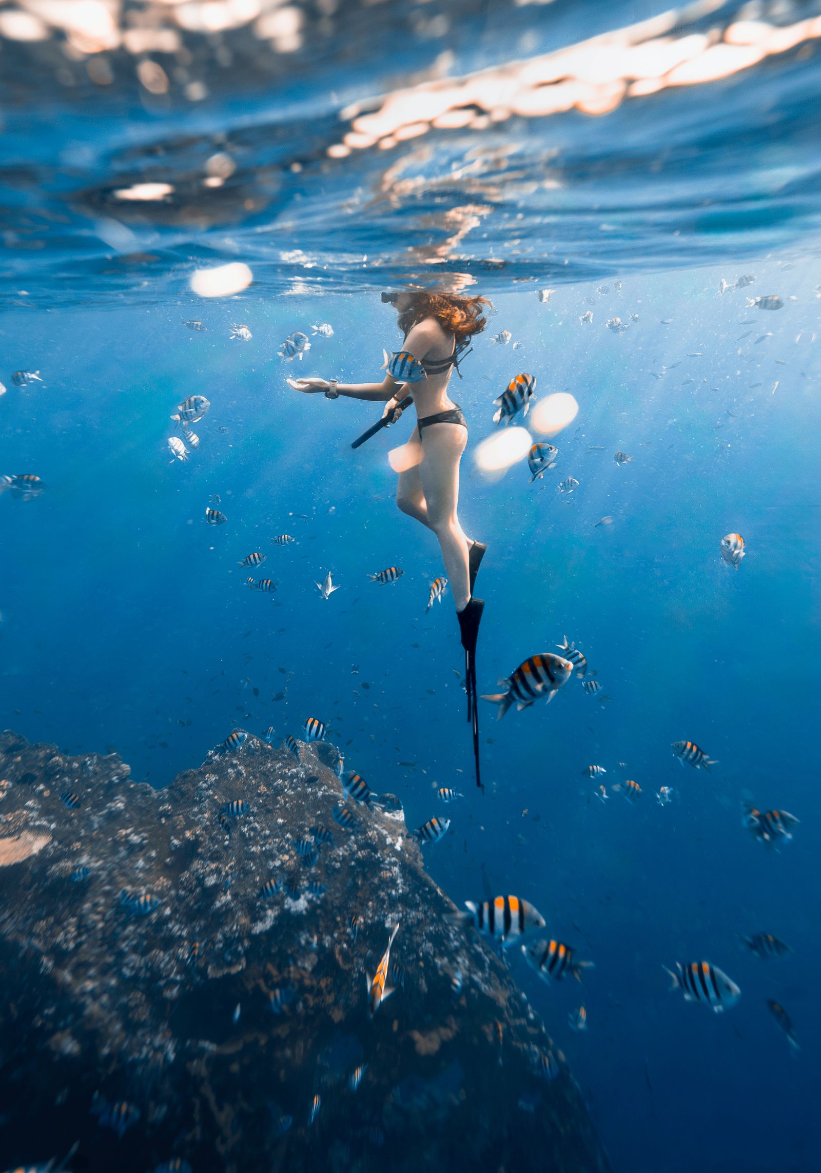 Freediver swimming with tropical fish in clear blue water